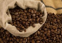 Las galletas sostenibles de Amazon y Banana abrieron nuevos mercados en Canadá e Italia | Economía | Noticias