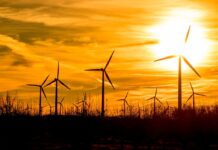 El precio ligero cae en el nivel más bajo este domingo desde junio de 2024 | Buscar