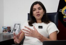 El presidente Daniel Nemaa nombró a Irene Vélez como delegado en el directorio CNT | Economía | Noticias