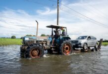 Quien no puede acceder al programa «ecuatoriano en acción», que da 400 dólares estadounidenses por mes | Economía | Noticias