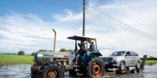 Quien no puede acceder al programa «ecuatoriano en acción», que da 400 dólares estadounidenses por mes | Economía | Noticias