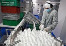 0 % La tasa de interés del impuesto a cambio de divisas se extiende otro mes Economía | Noticias