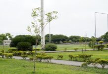 Samanes Park, en el ojo del huracán: los momentos más controvertidos desde su creación hace 15 años | Informes | Noticias