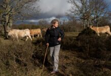 Ser autónomo en Zamora, la provincia con más autoempleo de España: “O montas algo o te vas” | Economía