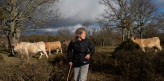 Ser autónomo en Zamora, la provincia con más autoempleo de España: “O montas algo o te vas” | Economía