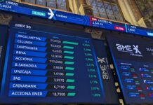 Fusion Drums | Negocio