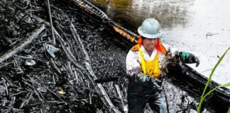 Petroecuador organizó que las exportaciones del petróleo crudo este desde la terminal Balao | Economía | Noticias