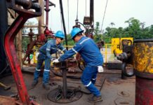 ¿Cuánto produce diariamente el campo Sacha y qué tan alto es en la producción de aceite de Ecuador? Economía | Noticias