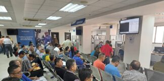 National Brewberry Ex tendrá otro día para presentar Documentos para la Recaudación de Beneficios | Economía | Noticias