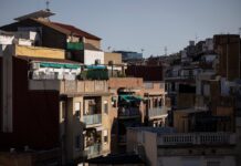 Los expertos sugieren reducir los impuestos vivos que aumentan su precio al 25% | Negocio