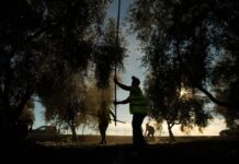 Tener sueldos más dignos no arruina la economía: por qué la subida del salario mínimo es un éxito global | Negocios