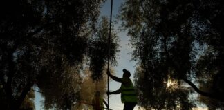 Tener sueldos más dignos no arruina la economía: por qué la subida del salario mínimo es un éxito global | Negocios