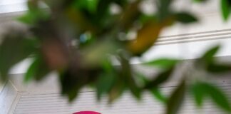 HURROW extiende capital en 40 millones para desbloquear la refinanciación de las deudas | Negocio