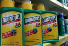 Un jurado condena a Bayer a pagar 2,065 millones de dólares estadounidenses por su herbicida de resumen en los Estados Unidos | Negocio