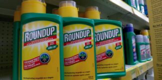 Un jurado condena a Bayer a pagar 2,065 millones de dólares estadounidenses por su herbicida de resumen en los Estados Unidos | Negocio