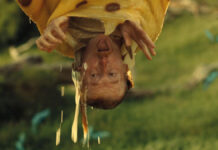 Las campañas ganadoras del festival de Spotlight 2025