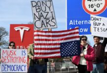 Los beneficios de Tesla caen en un 71% debido al daño de que la marca de Elon Musk | es causado por la economía