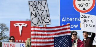 Los beneficios de Tesla caen en un 71% debido al daño de que la marca de Elon Musk | es causado por la economía