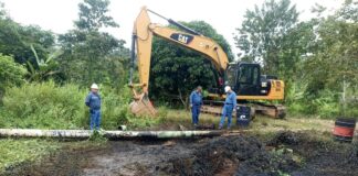 Petroecuador informó un derrame crudo en Orellana, la cantidad no se determinó | Economía | Noticias