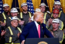 Ustedes son los servicios … ¿Conoce a Trump o es estúpido? | Negocio