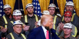 Ustedes son los servicios … ¿Conoce a Trump o es estúpido? | Negocio