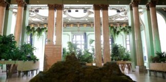 La protección climática se reabre como un espacio para los eventos