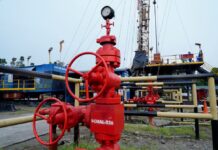 SACHA CAMPO: El Ministerio de Energía ha elevado el acuerdo que concluyó la delegación del bloque de petróleo a las empresas extranjeras. Noticias