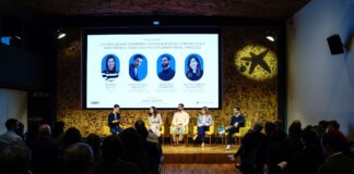 Cómo el zalpha influye en el consumo