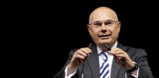 Después del rastro del millonario serbio del filántropo, perra: «Me examinan porque me describió como su albacea» | Negocio