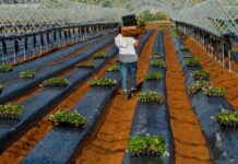 Una regulación gubernamental deja la mitad del retorno de IRPF para el contenido mínimo | Negocio