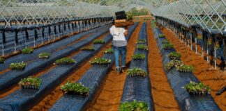 Una regulación gubernamental deja la mitad del retorno de IRPF para el contenido mínimo | Negocio