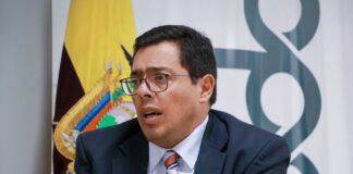 El dinero en el banco de desarrollo alcanzó el 6 %en 2024, pero se recuperó de 2025 en los primeros meses de economía | Noticias