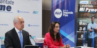 Dos grandes bancos privados también están interesados en créditos con garantías de CFN para dar economía | Noticias