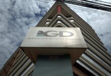 María Daniela Conde fue nombrada delegada del presidente antes de que el AGD-CFN Trust ya no fuera impunidad | Economía | Noticias