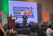 La enfermedad de Moko afecta a 2.700 hectáreas de plátanos en los ríos de acuerdo con los resultados del proyecto AEBE | Economía | Noticias