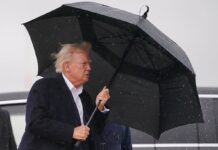 Trump excluye teléfonos, computadoras y papas fritas de las tarifas ‘mutuas’ | Internacional