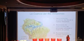 Los desafíos y soluciones para la preservación del Amazonas estaban en el foro en Quito | Economía abordada | Noticias