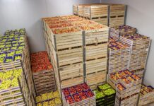 Frubana extiende la línea de crédito para los minoristas con Allianz con Acion y MasterCard •