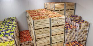 Frubana extiende la línea de crédito para los minoristas con Allianz con Acion y MasterCard •