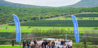 Meta selecciona Leadsales como el «socio de solvencia de WhatsApp» para América Latina.