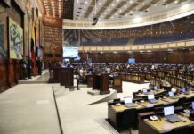 Asambleístas impuntuales y faltones serán multados a partir del 1 junio de 2025 | Política | Noticias