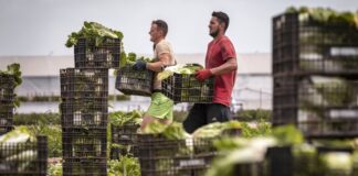 El 80% del crecimiento de España en los últimos cinco años se explica por el aumento de los trabajadores extranjeros | Negocio