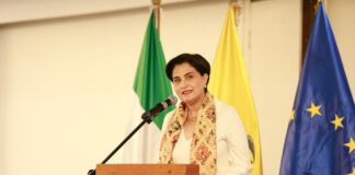 Embajadores ecuatorianos son ratificados en sus cargos, anunció la canciller Gabriela Sommerfeld | Política | Noticias