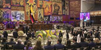 Cómo vivir desde Ecuador TV, Channel 7, Daniel NOVOA | Política | Noticias