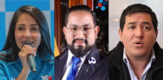 Disputas en el correísmo: Luisa González y Andrés Arauz arremeten contra Sergio Peña, quien responde que por cosas así ganó Daniel Noboa | Política | Noticias