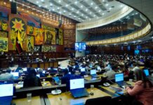 Pleno de la Asamblea fija plazos para presentar informes de proyectos de ley que estaban en trámite en el anterior periodo legislativo | Política | Noticias