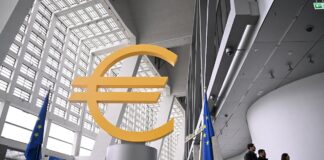 Prepárate para el euro global | Negocio