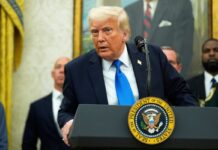 JP Morgan compara la política de Trump con el peronismo argentino y advierte sobre la debilidad del dólar | Mercados financieros