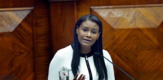 Diana Salazar: «El servicio público es un país de un país» | Política | Noticias