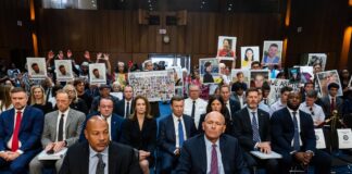 Boeing es responsabilidad penal de los accidentes catastróficos de la aeronave 737 Max | economía libre